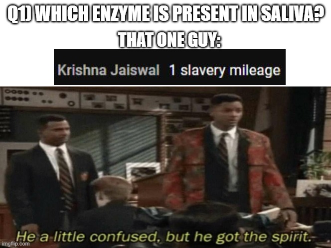 backbenchers on crack | Q1) WHICH ENZYME IS PRESENT IN SALIVA? THAT ONE GUY: | image tagged in he a little confused but he got the spirit | made w/ Imgflip meme maker