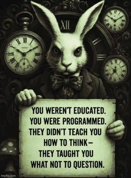 The agenda of the left fails if critical thinking is applied.... | image tagged in mind control,coincidence i think not,thinking,leftists,agenda | made w/ Imgflip meme maker