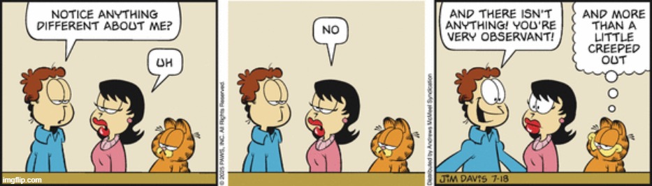 Garfield | image tagged in comics | made w/ Imgflip meme maker