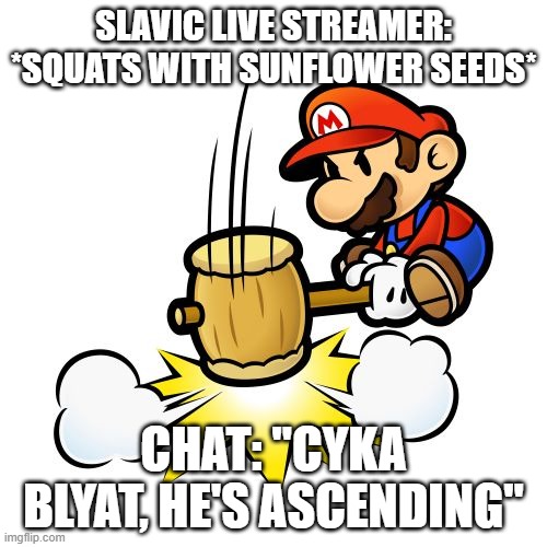 Mario Hammer Smash Meme | SLAVIC LIVE STREAMER: *SQUATS WITH SUNFLOWER SEEDS*; CHAT: "CYKA BLYAT, HE'S ASCENDING" | image tagged in memes,mario hammer smash,slavic lives matter,black lives matter | made w/ Imgflip meme maker