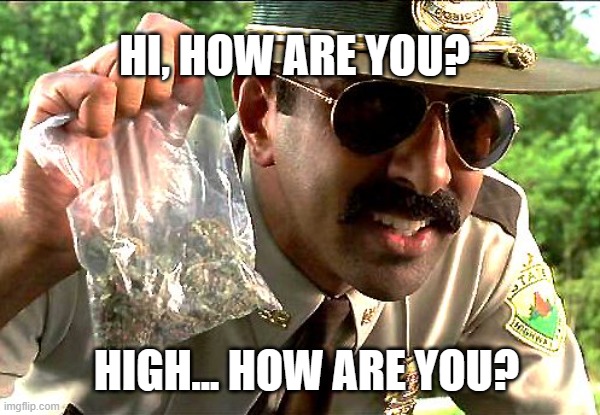 High how are you? | HI, HOW ARE YOU? HIGH... HOW ARE YOU? | image tagged in weedy cop,super troopers,freaking out,too damn high,magic mushrooms,high af | made w/ Imgflip meme maker