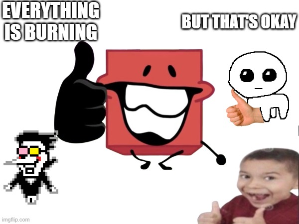 EVERYTHING IS BURNING; BUT THAT'S OKAY | image tagged in everything is burning,this is a tag | made w/ Imgflip meme maker