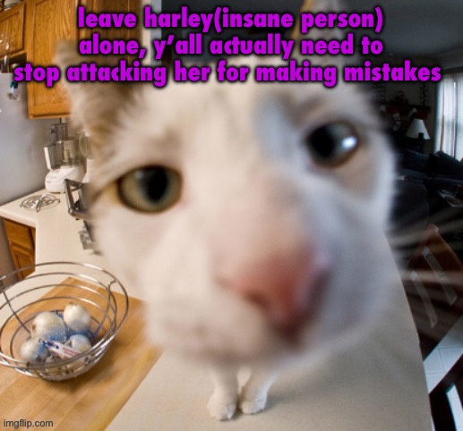 he | leave harley(insane person) alone, y’all actually need to stop attacking her for making mistakes | image tagged in he | made w/ Imgflip meme maker