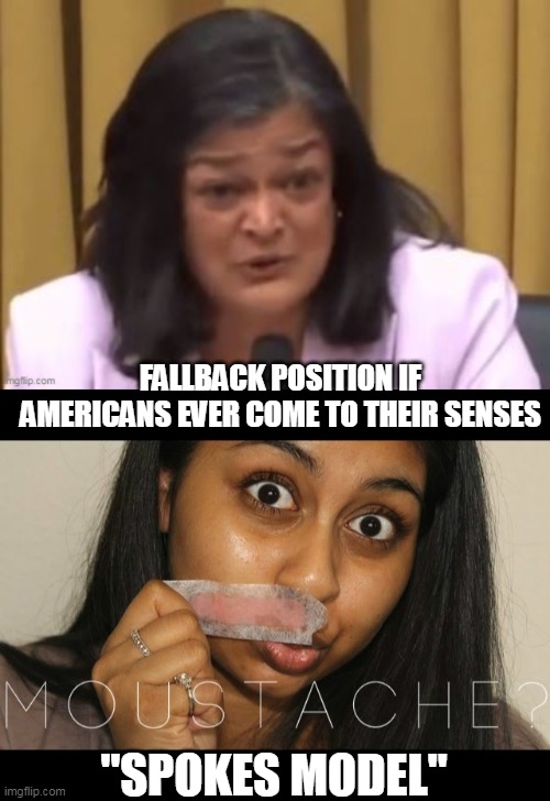 FALLBACK POSITION IF AMERICANS EVER COME TO THEIR SENSES "SPOKES MODEL" | made w/ Imgflip meme maker