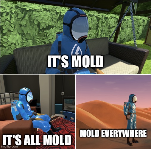 Sad PowerWashcobar | IT'S MOLD IT'S ALL MOLD MOLD EVERYWHERE | image tagged in sad powerwashcobar | made w/ Imgflip meme maker