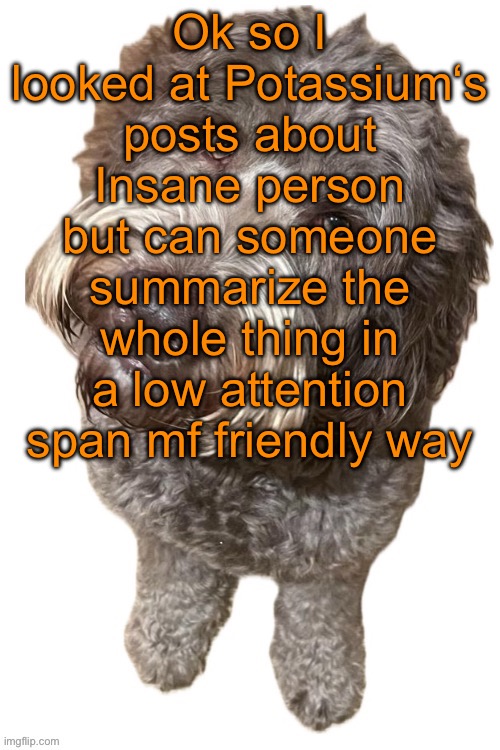Norther's dog | Ok so I looked at Potassium‘s posts about Insane person but can someone summarize the whole thing in a low attention span mf friendly way | image tagged in norther's dog | made w/ Imgflip meme maker