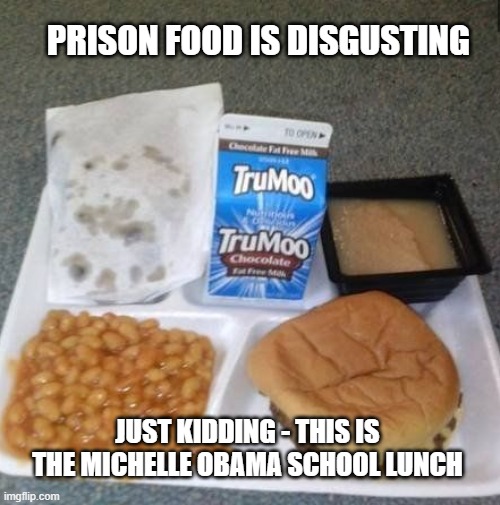 school is prison for the innocent | PRISON FOOD IS DISGUSTING; JUST KIDDING - THIS IS THE MICHELLE OBAMA SCHOOL LUNCH | image tagged in school,eww,school sucks,lunch break | made w/ Imgflip meme maker