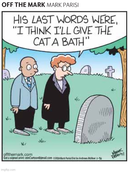 image tagged in comics,off the mark,cemetery,last words,grave | made w/ Imgflip meme maker