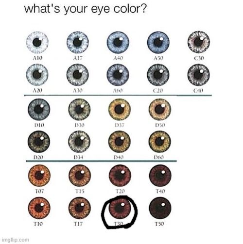 what color is yours | image tagged in eye color chart www girlsaskguys com,eyes,questions | made w/ Imgflip meme maker