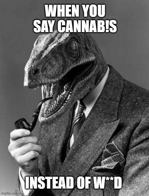 High Brow Raptor | WHEN YOU SAY CANNAB!S; INSTEAD OF W**D | image tagged in classy raptor,classy,bad pun velociraptor,dank memes,smoke weed everyday,philosophy dinosaur | made w/ Imgflip meme maker