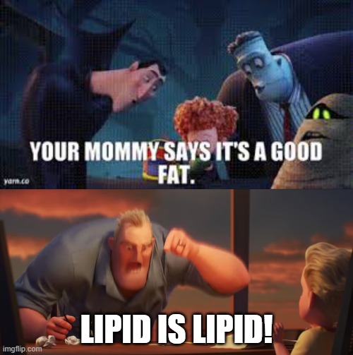 LIPID IS LIPID! | image tagged in math is math | made w/ Imgflip meme maker