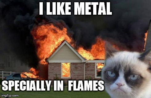 Burn Kitty | I LIKE METAL SPECIALLY IN  FLAMES | image tagged in memes,burn kitty | made w/ Imgflip meme maker