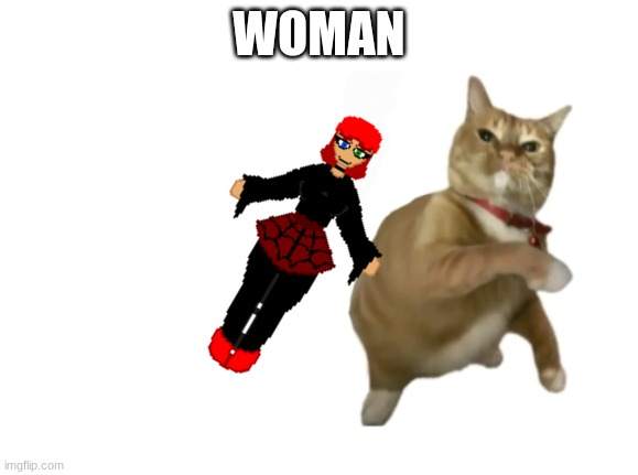throwing cat new | WOMAN | image tagged in throwing cat new | made w/ Imgflip meme maker