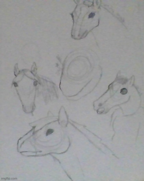 beautifully ugly horses :3 | made w/ Imgflip meme maker