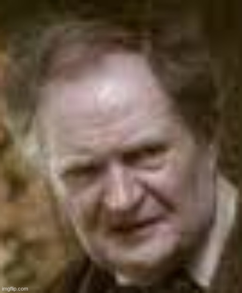 Slughorn Face | image tagged in slughorn face | made w/ Imgflip meme maker