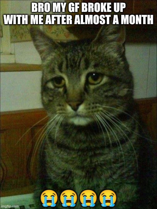 listening to three days grace rn | BRO MY GF BROKE UP WITH ME AFTER ALMOST A MONTH; 😭😭😭😭 | image tagged in memes,depressed cat | made w/ Imgflip meme maker