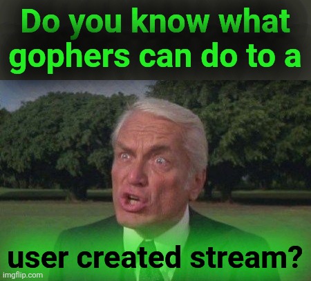 Judge Smales Caddyshack | Do you know what
gophers can do to a user created stream? | image tagged in judge smales caddyshack | made w/ Imgflip meme maker