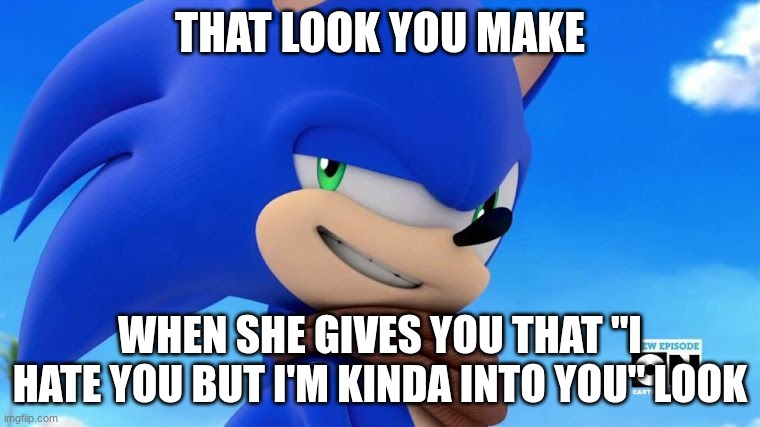 Sonic Meme | THAT LOOK YOU MAKE; WHEN SHE GIVES YOU THAT "I HATE YOU BUT I'M KINDA INTO YOU" LOOK | image tagged in sonic meme | made w/ Imgflip meme maker