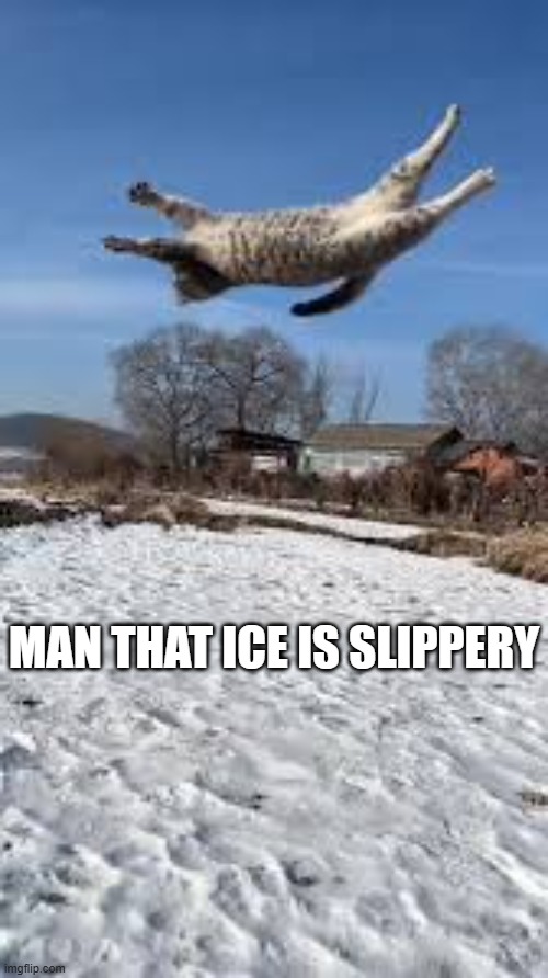 This cat found out the hard way that ice is slippery.   -- funny -- | MAN THAT ICE IS SLIPPERY | image tagged in cats,funny,humor,kittens,slippery,ice | made w/ Imgflip meme maker