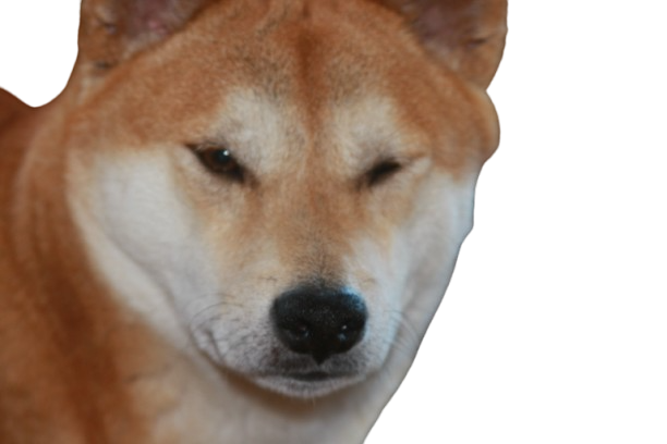 Judging Shiba Blank Meme Template