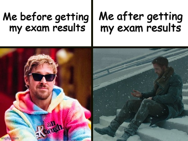 Me Before vs After Getting exam results | Me before getting
 my exam results; Me after getting my exam results | image tagged in before and after,expectation vs reality,sad,funny | made w/ Imgflip meme maker