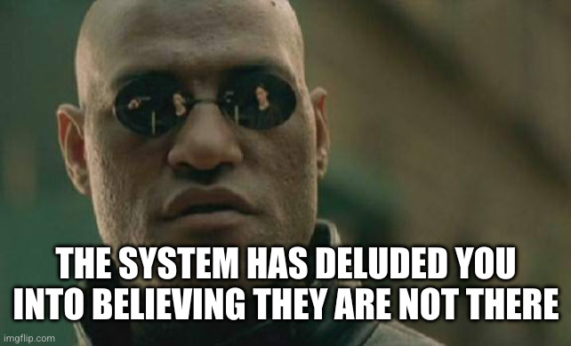 Matrix Morpheus Meme | THE SYSTEM HAS DELUDED YOU INTO BELIEVING THEY ARE NOT THERE | image tagged in memes,matrix morpheus | made w/ Imgflip meme maker