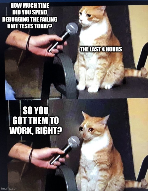 Cat mic | HOW MUCH TIME DID YOU SPEND DEBUGGING THE FAILING UNIT TESTS TODAY? THE LAST 4 HOURS; SO YOU GOT THEM TO WORK, RIGHT? | image tagged in cat mic | made w/ Imgflip meme maker