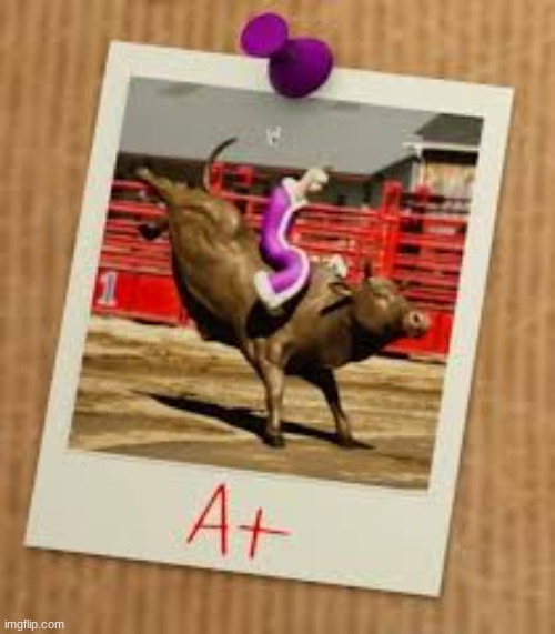 kinger riding bull | image tagged in kinger riding bull | made w/ Imgflip meme maker
