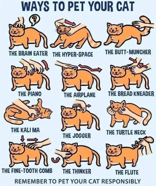 Ways To Pet Your Cat | image tagged in cats,funny cats,petting,comics/cartoons,instructions,fun | made w/ Imgflip meme maker