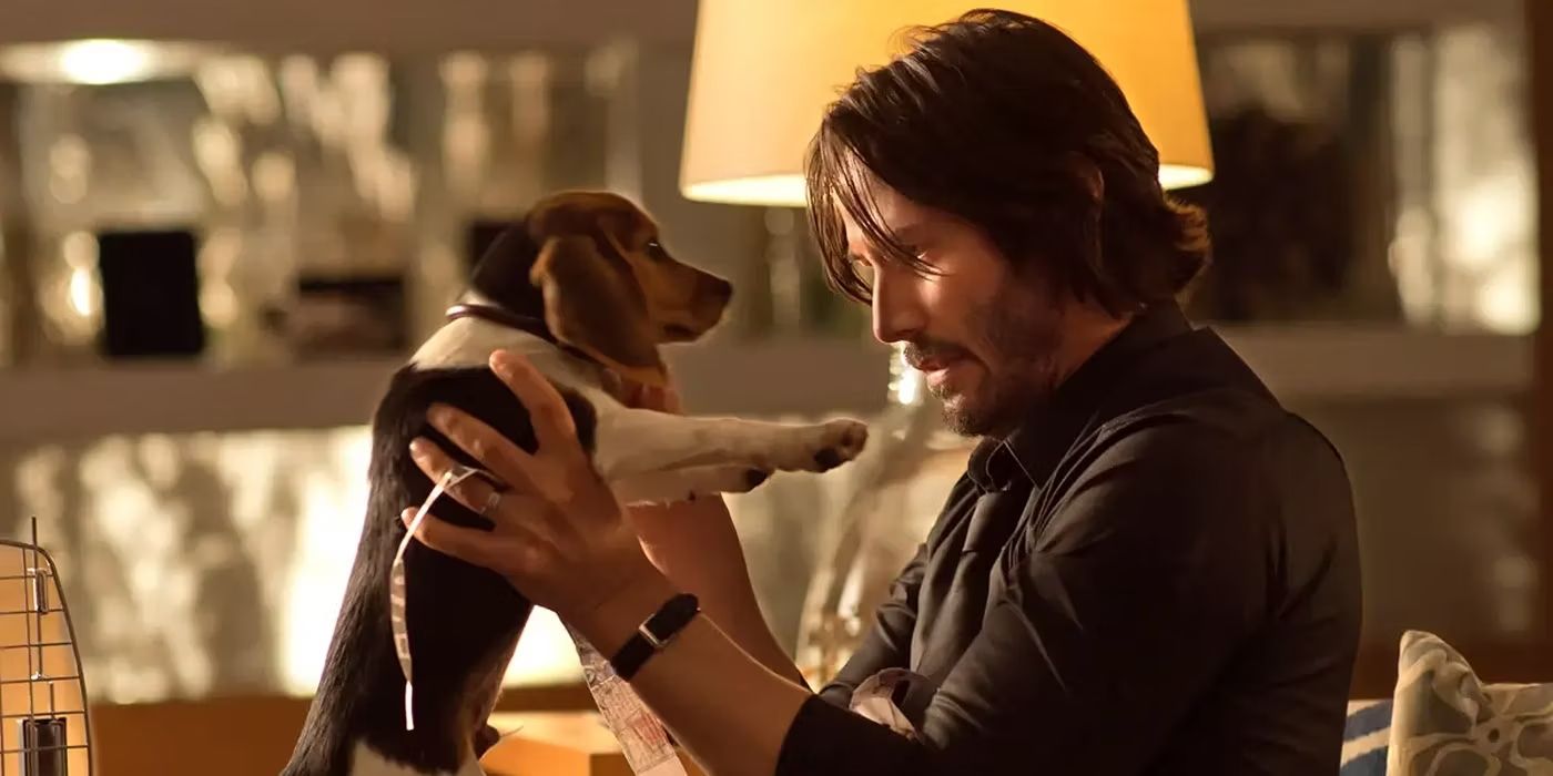 John Wick Puppy Blank Meme Template