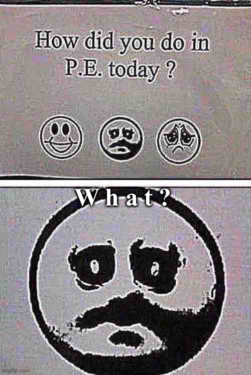 How did you do in P.E. Today? | W h a t ? | image tagged in how did you do in p e today | made w/ Imgflip meme maker