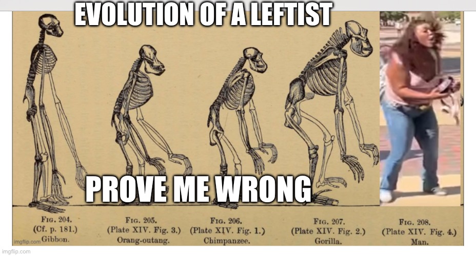 EVOLUTION OF A LEFTIST; PROVE ME WRONG | made w/ Imgflip meme maker