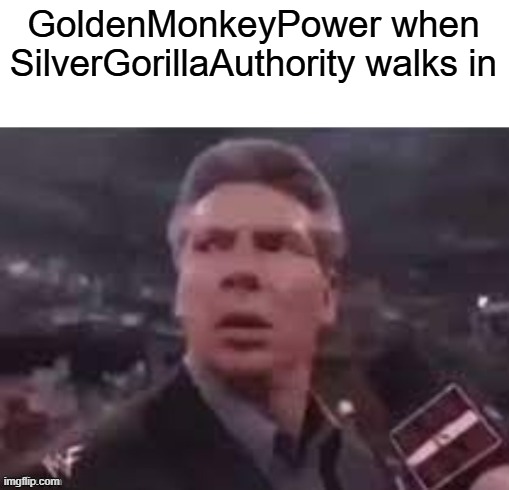 GoldenMonkeyPower when SilverGorillaAuthority walks in | image tagged in x when x walks in | made w/ Imgflip meme maker