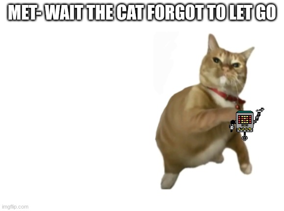 CAN I GET A DSUGBFOERPSDBGFOSEEZHDVLI;faewhbscxkzdgurewpjslfdfGESDRHYu'siorfjbpersDHGSERIGHRIE:OSDFH"gpsrdjfvoewsdzthgowiefdjgpb | MET- WAIT THE CAT FORGOT TO LET GO | image tagged in throwing cat new | made w/ Imgflip meme maker