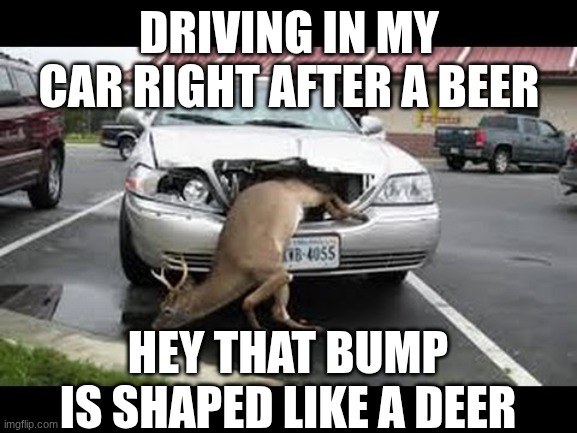 Oh dear! | DRIVING IN MY CAR RIGHT AFTER A BEER; HEY THAT BUMP IS SHAPED LIKE A DEER | image tagged in oh dear | made w/ Imgflip meme maker