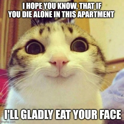 No pressure, though... | image tagged in cats,eat face,die alone | made w/ Imgflip meme maker