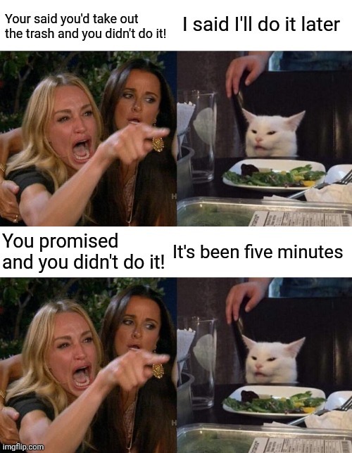 When you have an Aquarius in the family... | image tagged in woman yelling at cat,cats,promises,trash | made w/ Imgflip meme maker