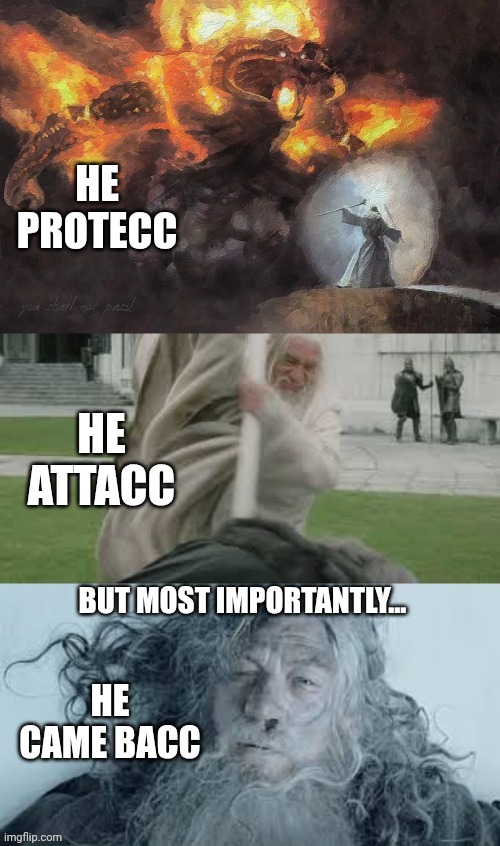 image tagged in lotr,gandalf,atacc,he protecc,came bacc | made w/ Imgflip meme maker