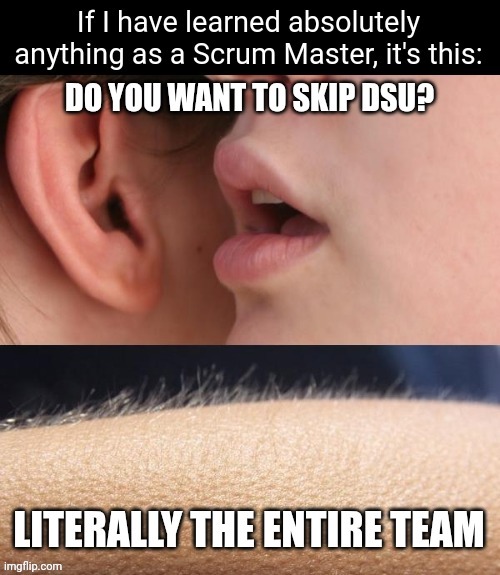 Just Daily Stand-Up things... | image tagged in scrum,master,whisper and goosebumps,skip,daily stand-up | made w/ Imgflip meme maker