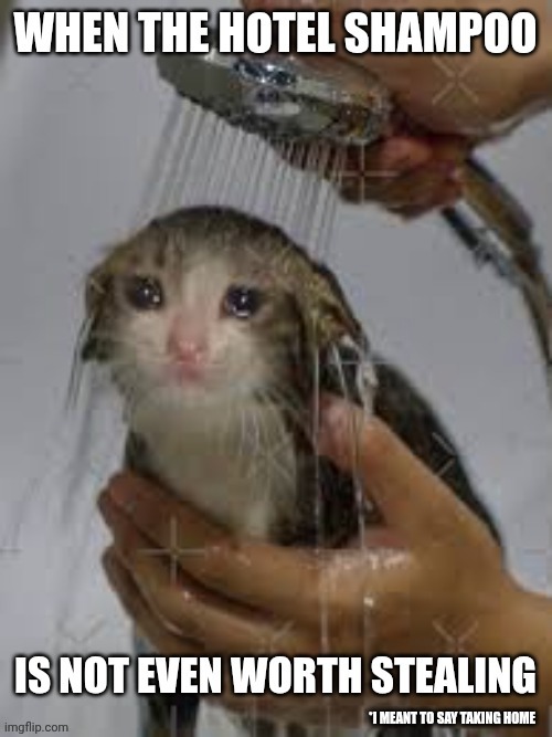 image tagged in shower,cats,hotel,shampoo,not worth stealing | made w/ Imgflip meme maker