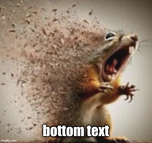badass squirrel disintegrating | bottom text | image tagged in badass squirrel disintegrating | made w/ Imgflip meme maker
