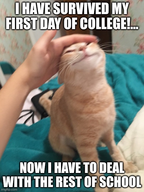 Damn high school | I HAVE SURVIVED MY FIRST DAY OF COLLEGE!... NOW I HAVE TO DEAL WITH THE REST OF SCHOOL | image tagged in cat pat | made w/ Imgflip meme maker