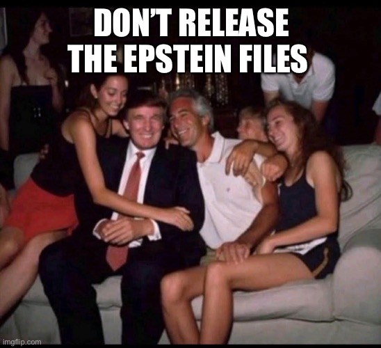 DON’T RELEASE THE EPSTEIN FILES | image tagged in epstien list | made w/ Imgflip meme maker