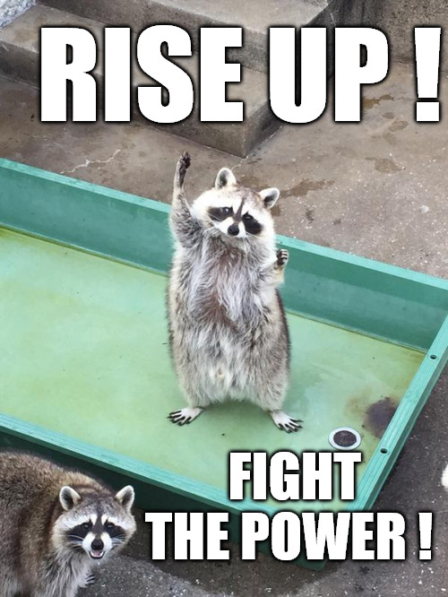 Eat the Rich | RISE UP ! FIGHT THE POWER ! | image tagged in fight the power,funny,animals,cute animals,raccon | made w/ Imgflip meme maker