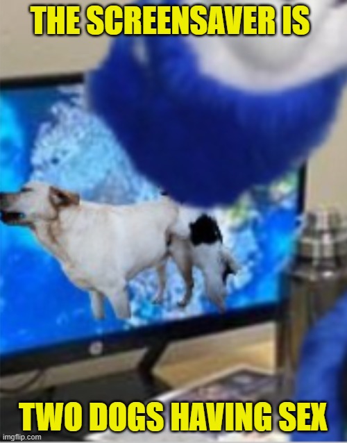 THE SCREENSAVER IS TWO DOGS HAVING SEX | made w/ Imgflip meme maker
