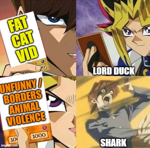 Funny fat-cats discord video removed for borderline animal violence | FAT
CAT
VID; LORD DUCK; UNFUNNY /
BORDERS
ANIMAL
VIOLENCE; SHARK | image tagged in trap card,discord moderator,funny animals,funny cats,fat cat,violence is never the answer | made w/ Imgflip meme maker