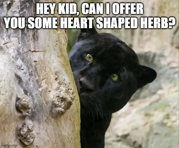 Black Panther | HEY KID, CAN I OFFER YOU SOME HEART SHAPED HERB? | image tagged in black panther | made w/ Imgflip meme maker