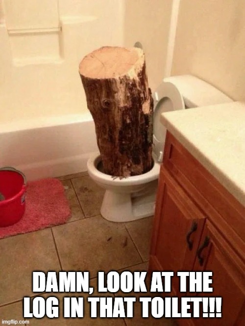 Log in the Toity | DAMN, LOOK AT THE LOG IN THAT TOILET!!! | image tagged in funny,memes | made w/ Imgflip meme maker