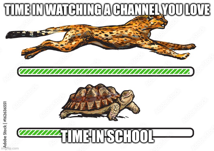 Cheetah and Turtle Comparison | TIME IN WATCHING A CHANNEL YOU LOVE; TIME IN SCHOOL | image tagged in cheetah and turtle comparison | made w/ Imgflip meme maker