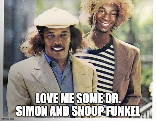 Alternative Simon and Garfunkel | LOVE ME SOME DR. SIMON AND SNOOP FUNKEL | image tagged in music,simon and garfunkel | made w/ Imgflip meme maker